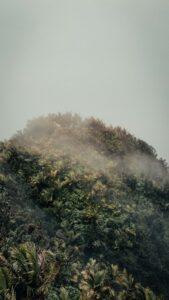 El Yunque National Forest, Rio Grande, United States