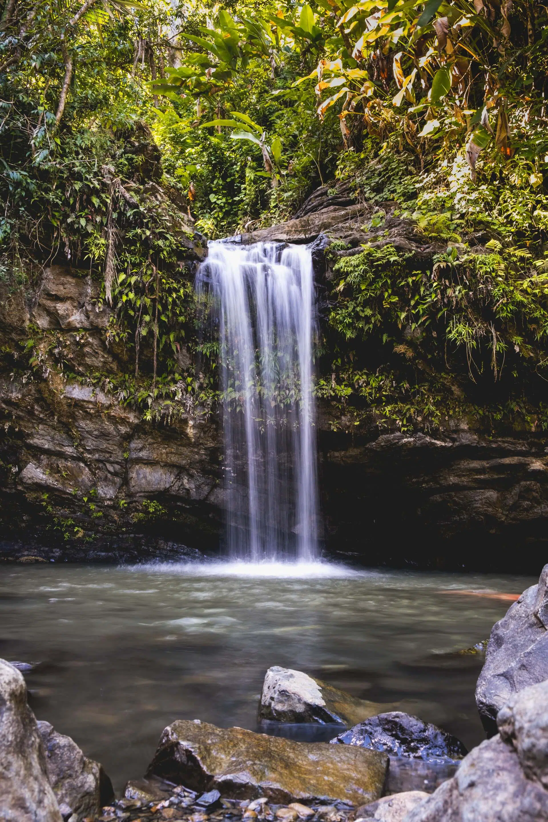 Puerto Rico Vacation Ideas : Dare To Discover The Many Treasures Of Caribbean Island 12 El Yunque Rainforest, Puerto Rico