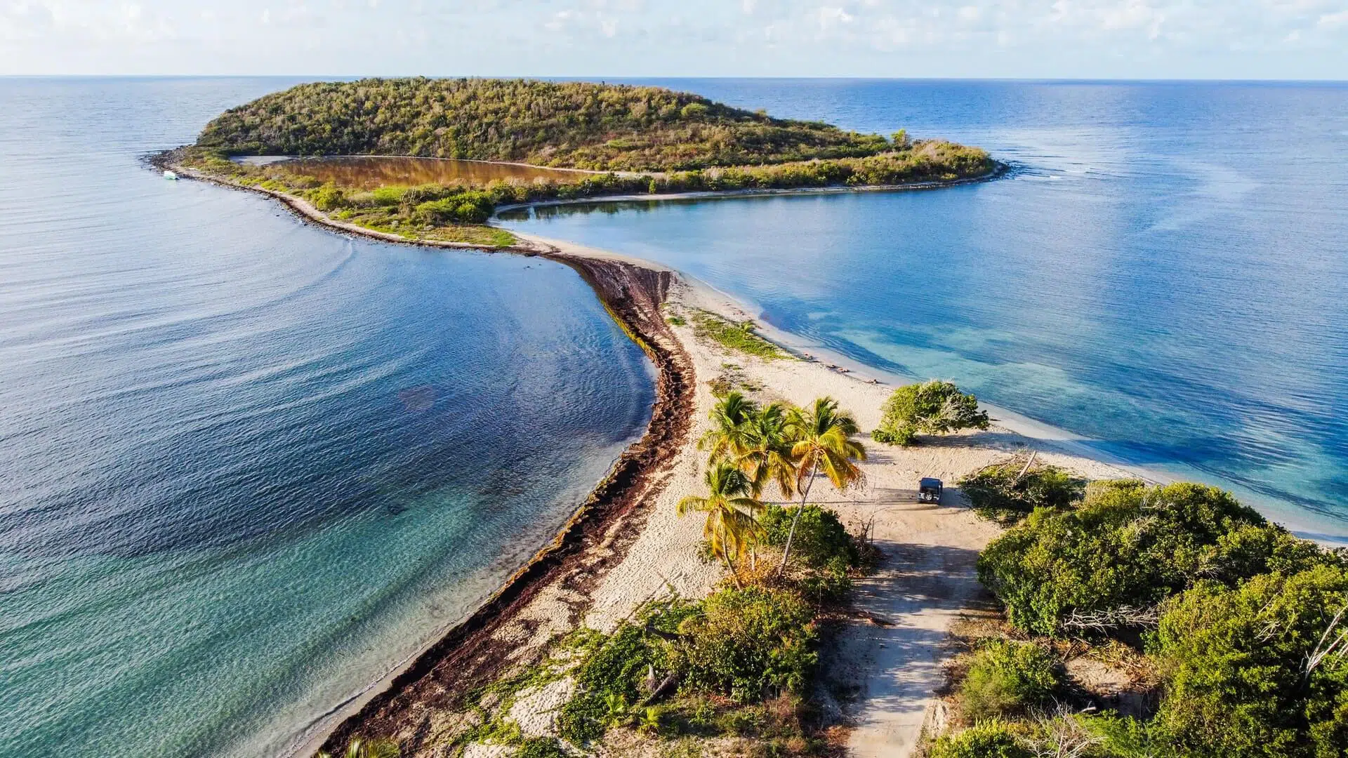 Puerto Rico Vacation Ideas : Dare To Discover The Many Treasures Of Caribbean Island 14 Vieques Island