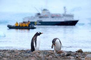 Danco Island, Antarctica