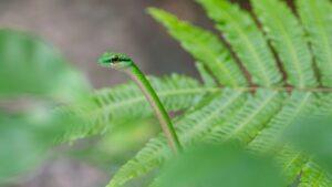 Manuel Antonio Puntarenas Quepos Costa Rica