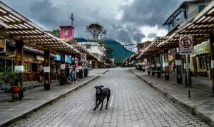 Mindo Ecuador
