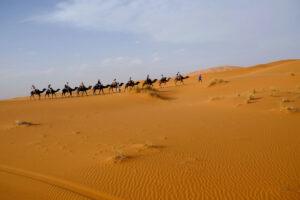 Merzouga Morocco