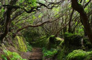 Tenerife Spain