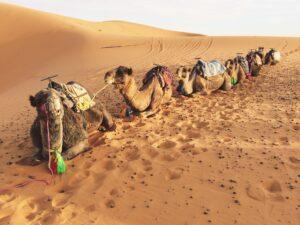 cities in morocco