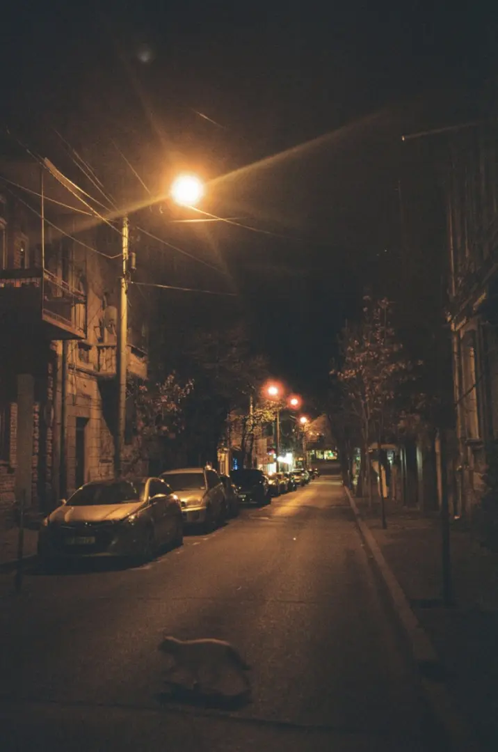 Photo by Aleksandr Artiushenko Street at night illuminated by streetlights and parked cars.