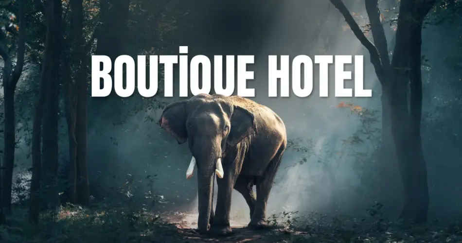 Boutique hotel