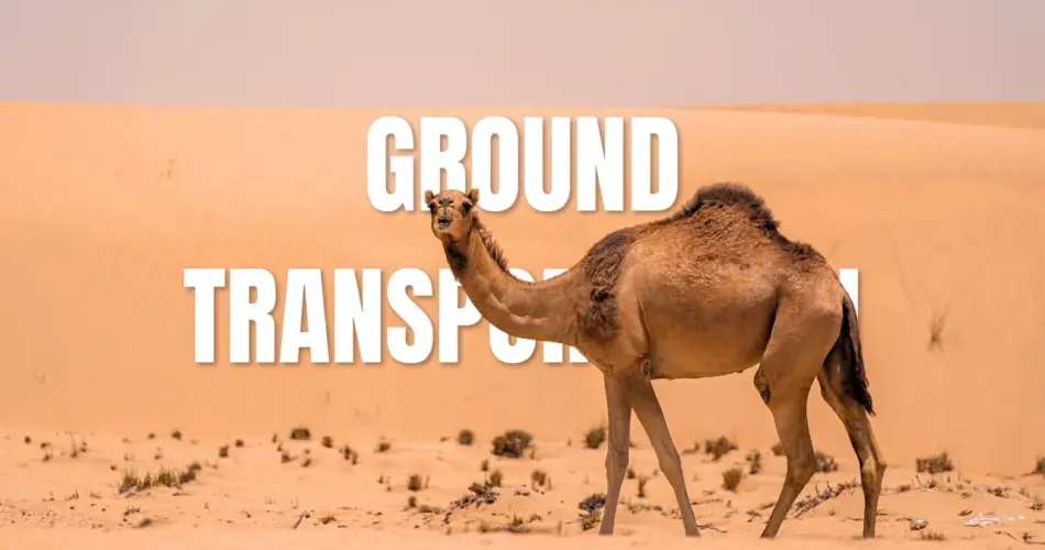 Ground transportation