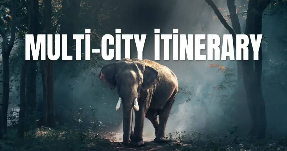 Multi city itinerary