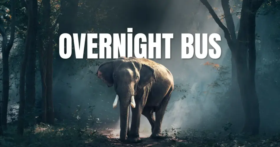 Overnight bus