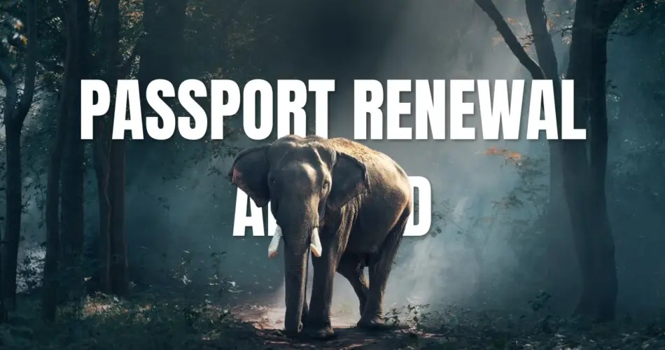 Passport renewal abroad