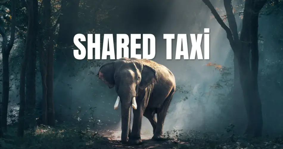 Shared taxi