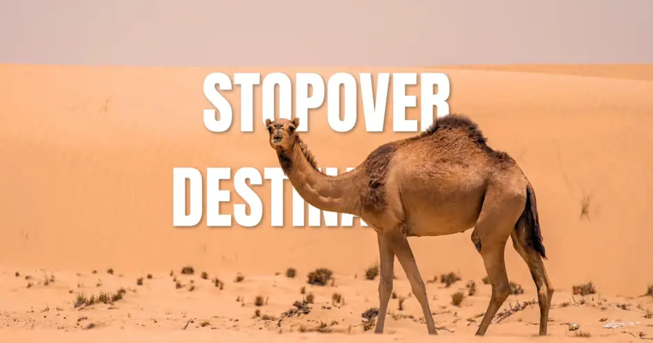 Stopover destination
