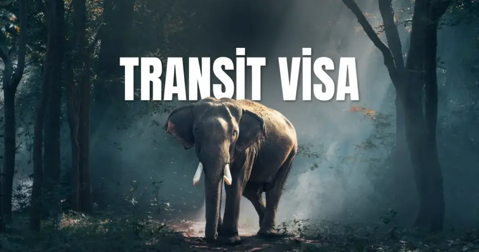 Transit visa
