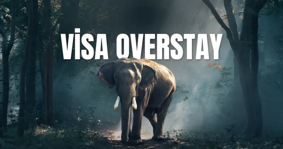 Visa overstay
