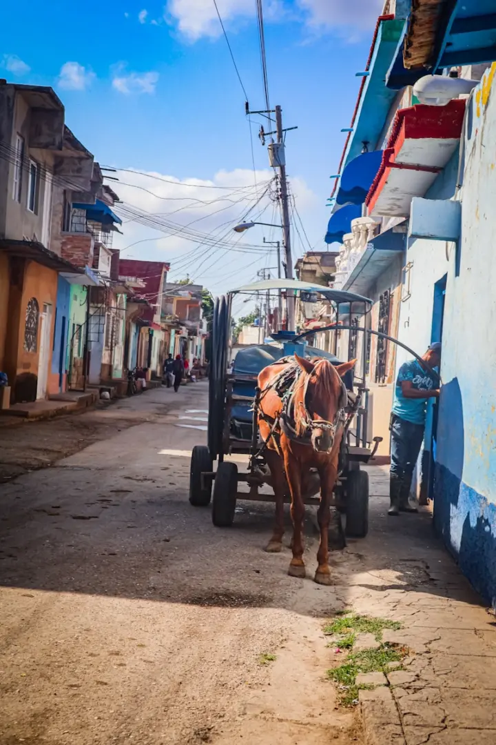Photo by Meg von Haartman A horse-drawn cart on a vibrant, colorful street.